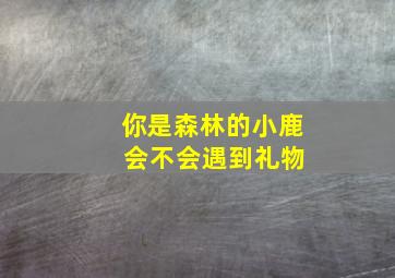 你是森林的小鹿 会不会遇到礼物